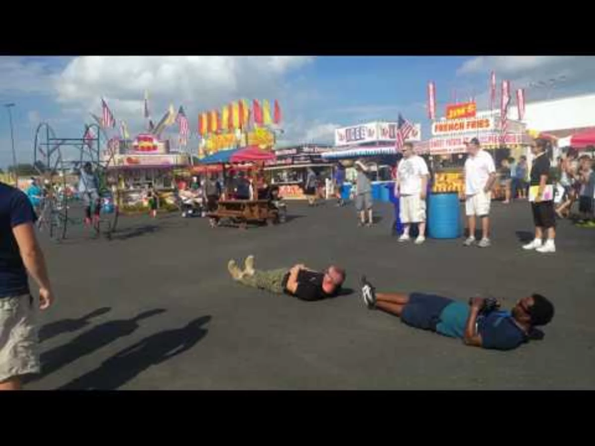 Would You Try This at the Erie County Fair?