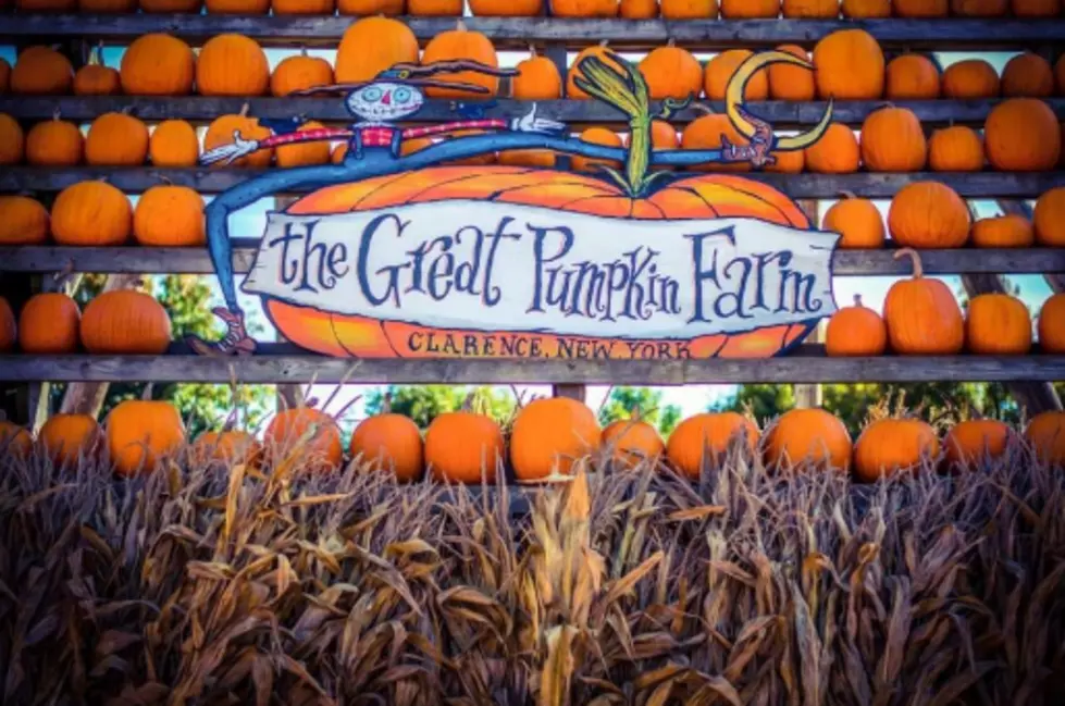 Clarence&#8217;s The Great Pumpkin Farm Is The #5 Ranked Pumpkin Patch In The United States!