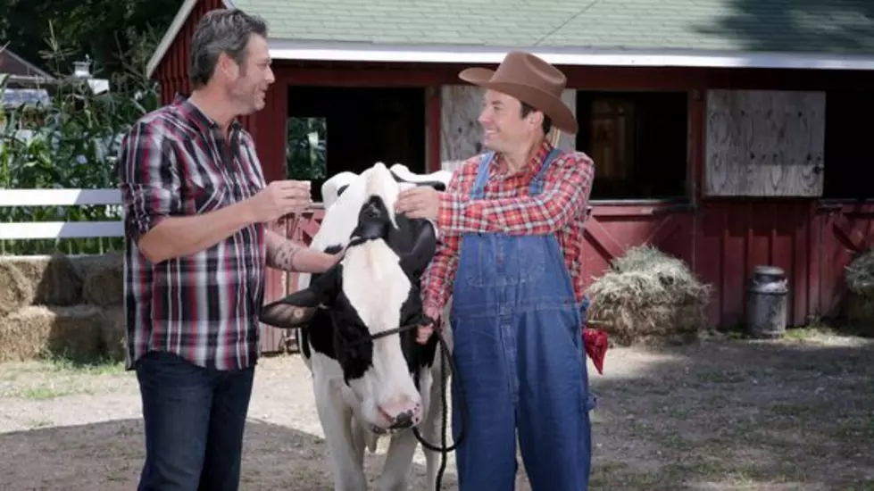 HILARIOUS! Blake Shelton Teaches Jimmy Fallon How To Milk A Cow [VIDEO]