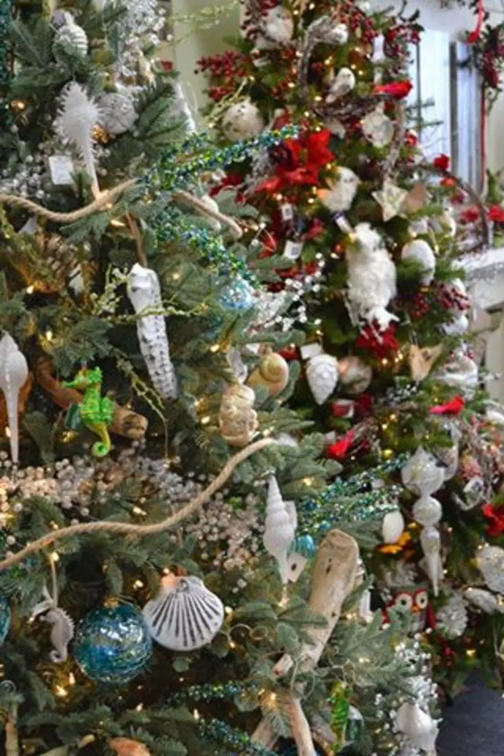 Elaine’s Flower Shoppe In Depew Gearing Up Christmas + Open House