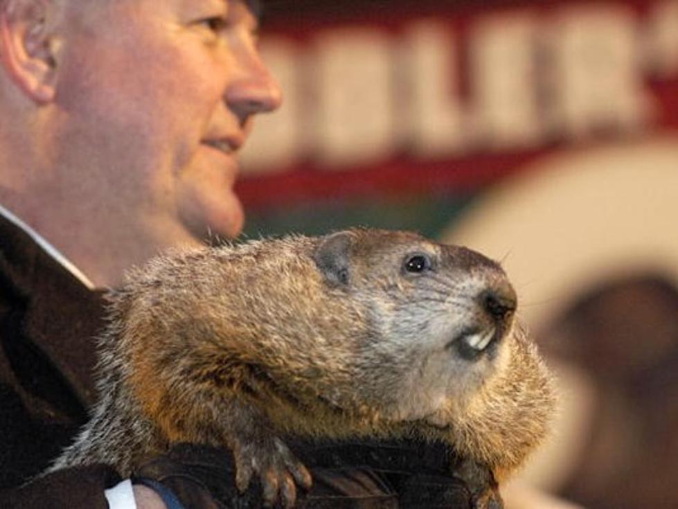 Groundhog Day in Punxsutawney Demands HIGHER HOTEL RATES Than Super Bowl In Houston