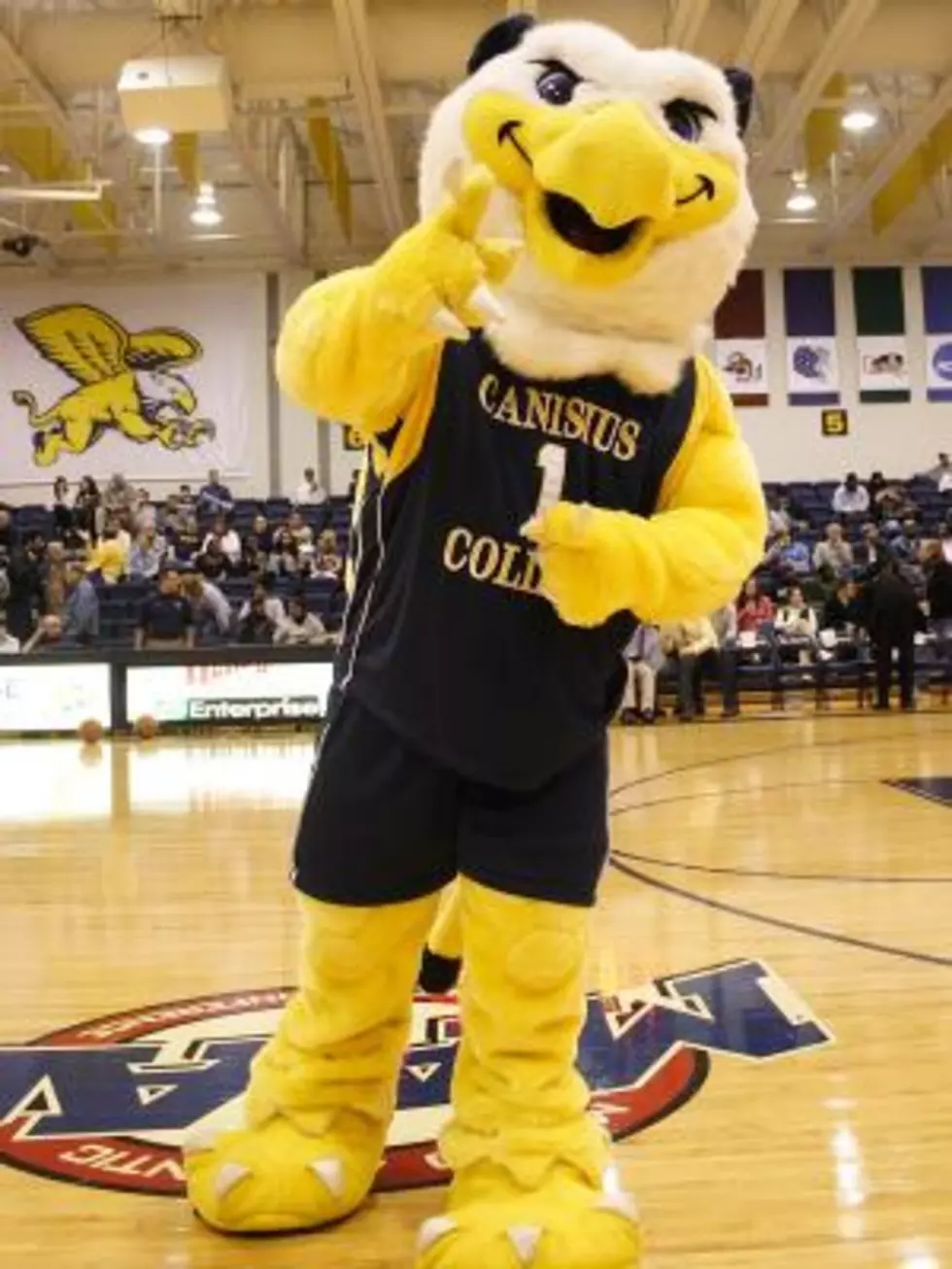 Sports Temporarily Canceled At Canisius College