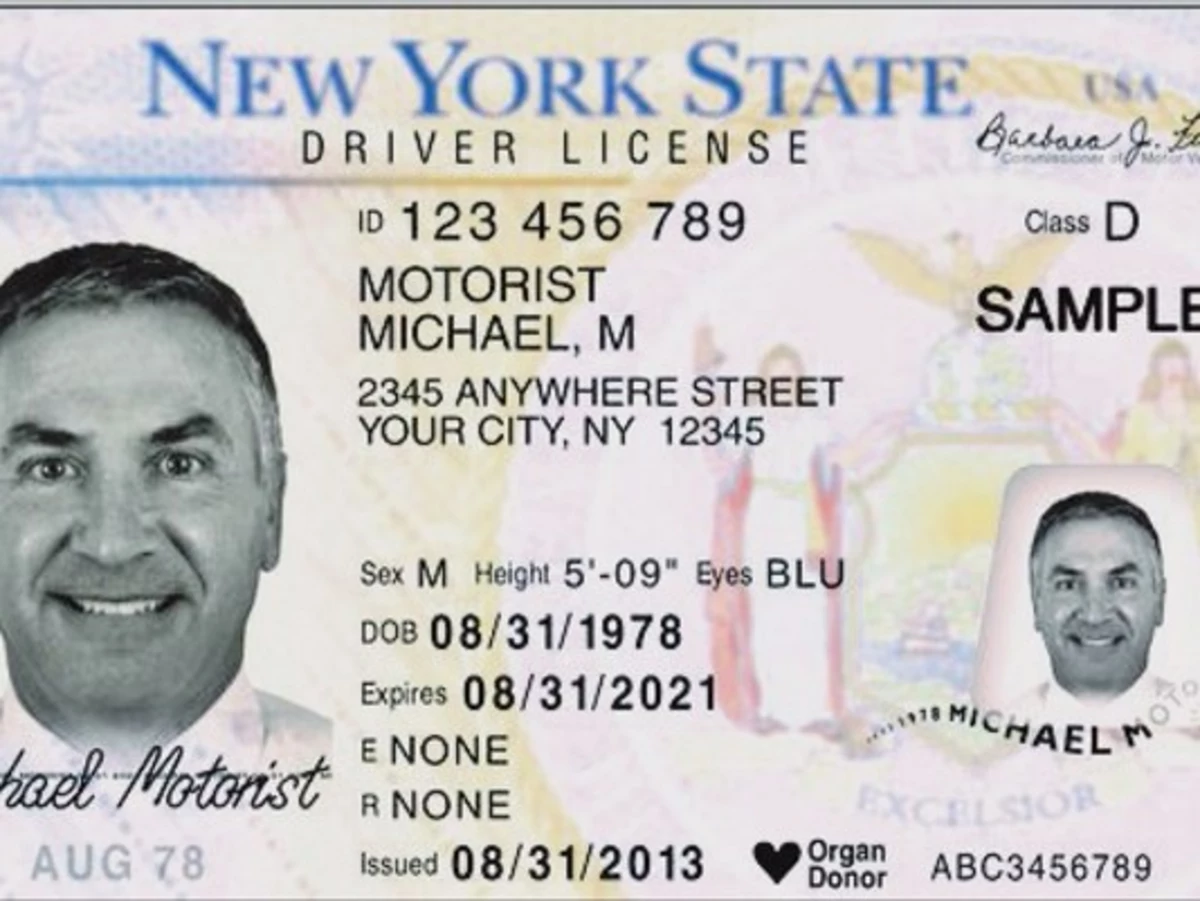 License name. New York Driver License. NY Driver License.