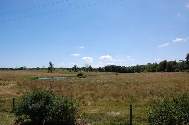 Gorgeous Farm for Sale in Chautauqua County [PICTURES]