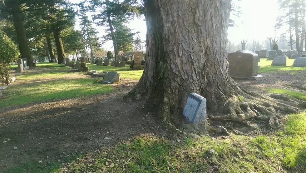 Hamburg&#8217;s Most Unique Cemetery Headstone [PICTURE]