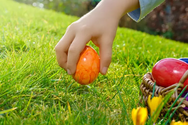 Easter Egg Hunt at Adventure Landing to Benefit Variety Club of Western New York