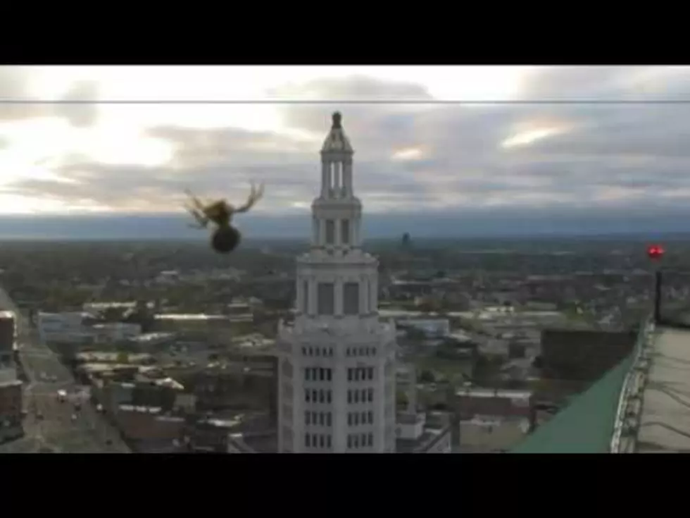 WGRZ’s Patrick Hammer Gets Sidetracked By A Spider