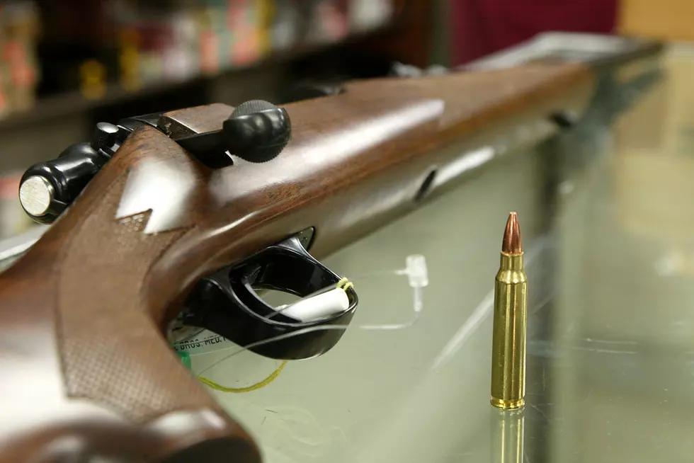 Hunting with a Rifle Approved in Genesee County