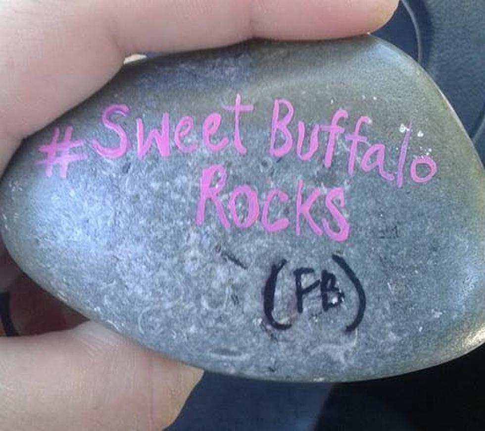 “Sweet Buffalo Rocks” Campaign Will Promote Buffalo And Keep The Kids Busy This Summer