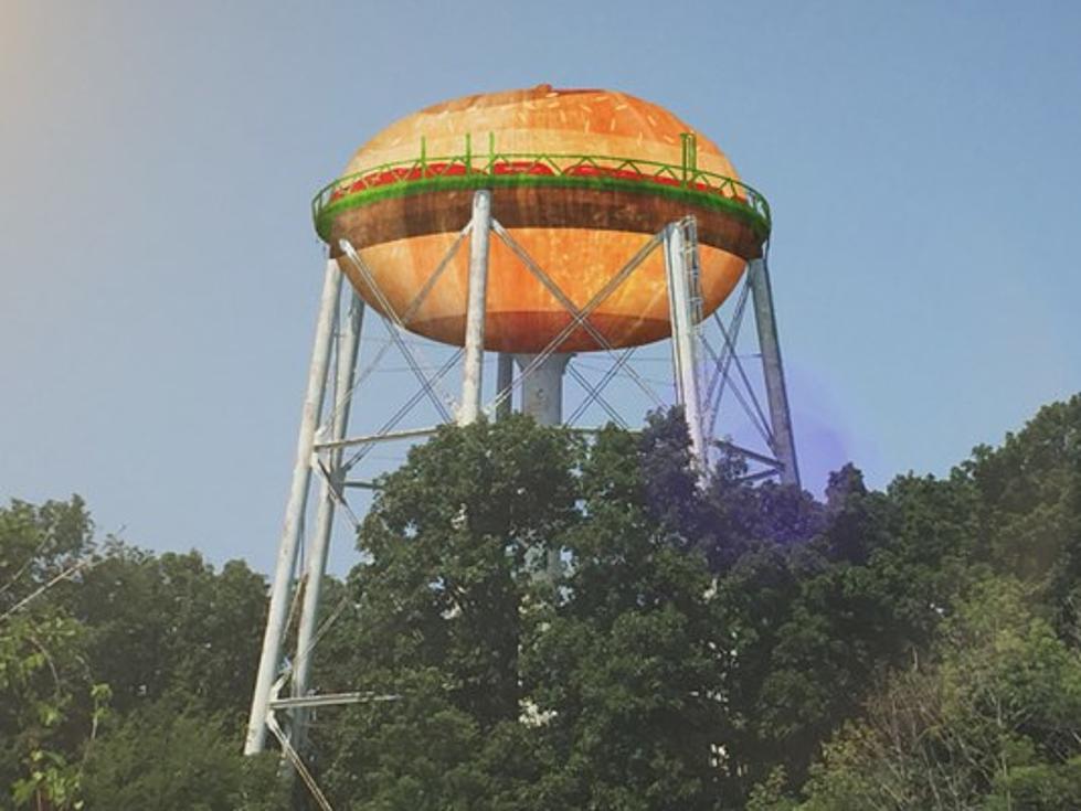 Haha Look What They Want To Do To The Water Tower in Hamburg, NY