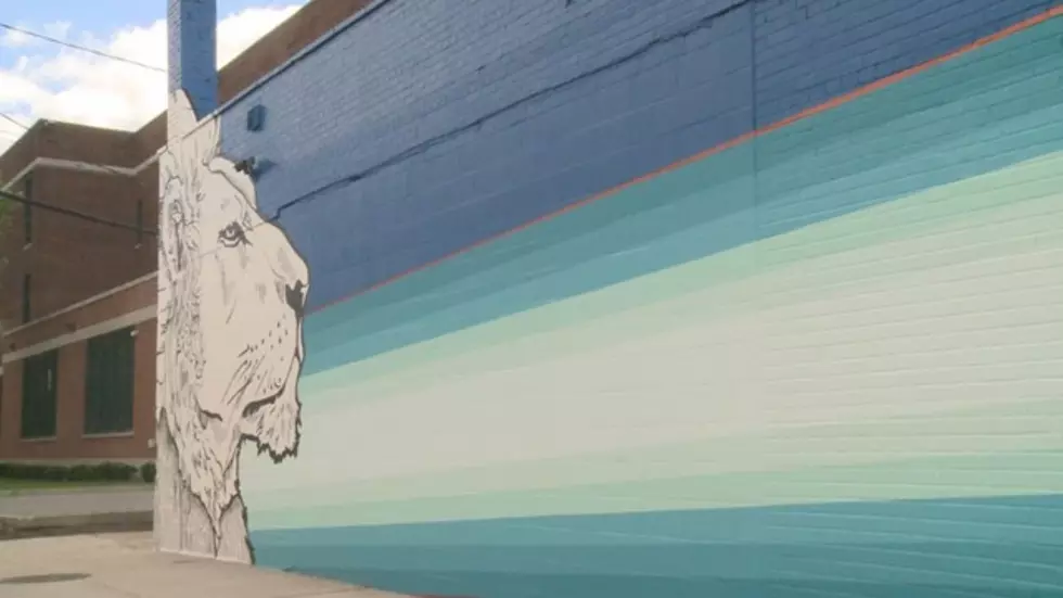 Look At 3 New Murals On Buildings in Buffalo, NY&#8211;So Cool!