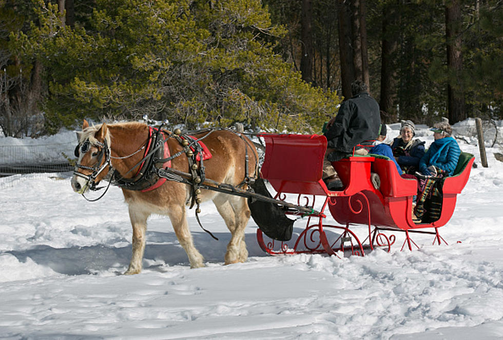 Sweet! Here’s Where You Can Do Sleigh Rides This Winter in Buffalo!