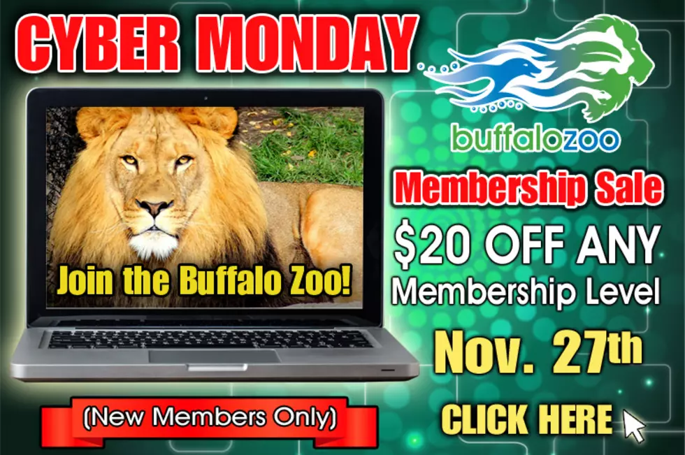 CYBER MONDAY DEAL! Your Entire Family Can Go To The Buffalo Zoo ALL YEAR LONG For Super Great Deal!