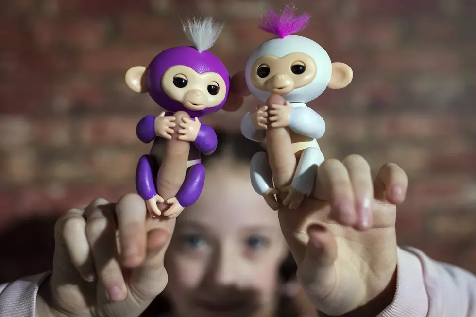 WATCH: A Fingerlings Tutorial for Parents