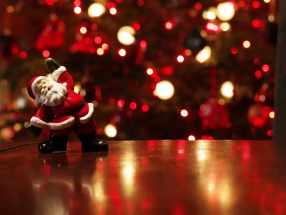 Cats In Christmas Trees Are Hilarious And Here's Proof [VIDEO]