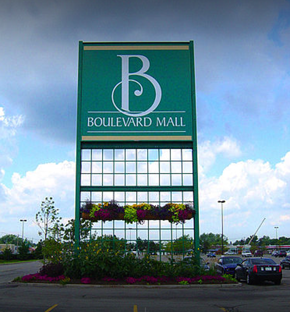 Look Who Bought The Boulevard Mall in Amherst, NY