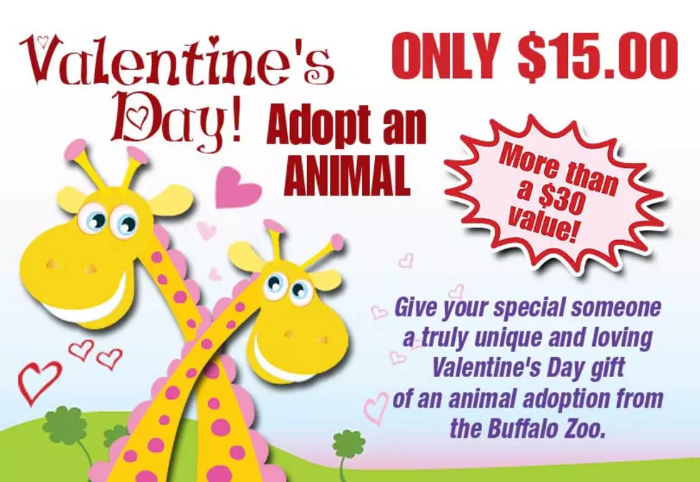 This is Cool! You Can ‘Adopt’ An Animal At The Buffalo Zoo For Your Kid For Valentine’s Day!