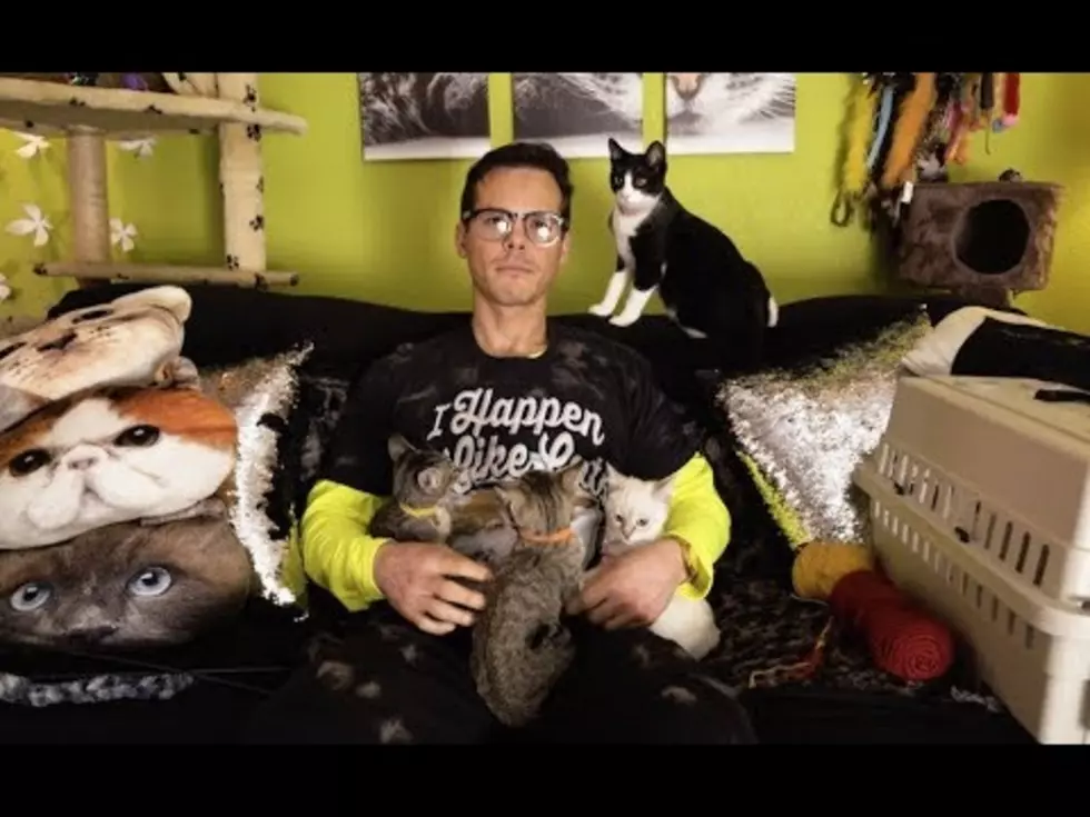 Granger Smith Releases “I Happen To Like Cats” And It’s Purrfect