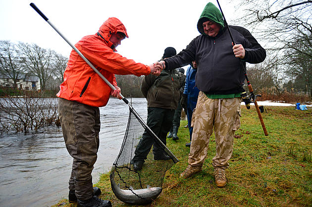 A Guide To The Best Trout Fishing In Buffalo