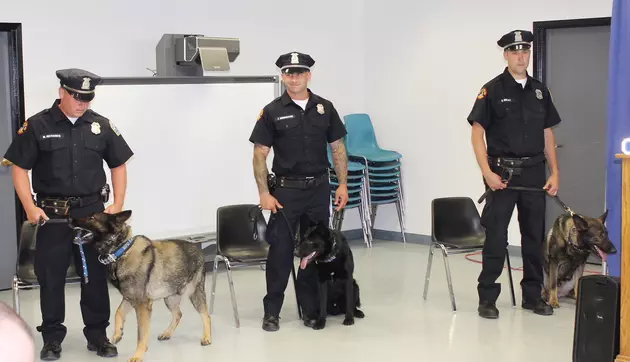 Check Out Buffalo Police K-9 Graduation Day