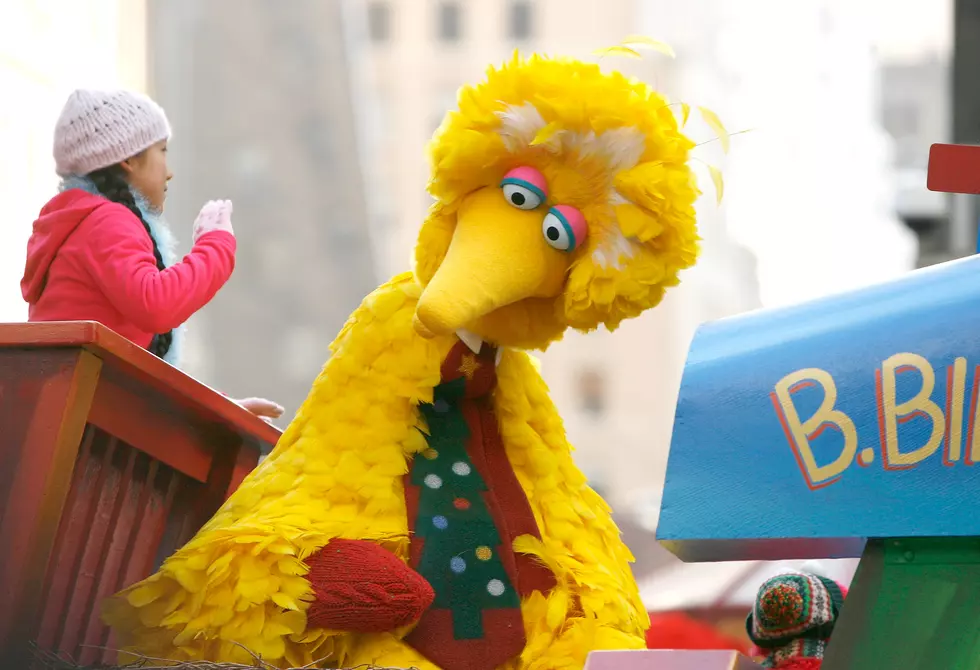 Big Bird Is About To Go Silent
