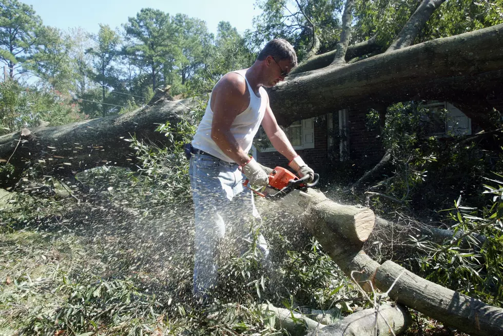 Here&#8217;s Proof Not Everyone Should Use A Chainsaw [VIDEO]