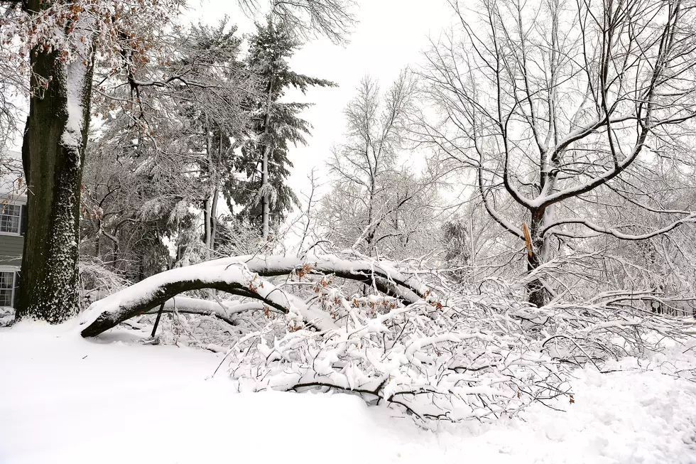 Here’s What Towns Had The Strongest Winds Sunday Near Buffalo