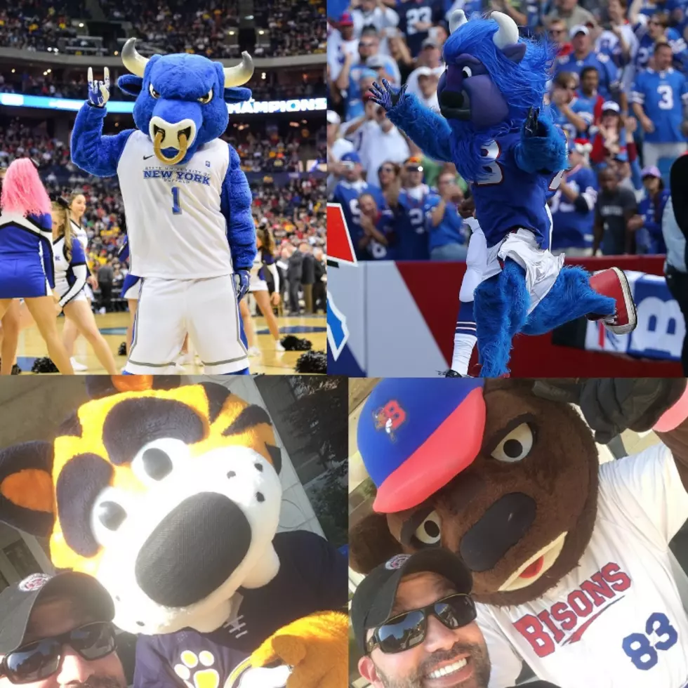 Who Is Your Favorite Buffalo Mascot?