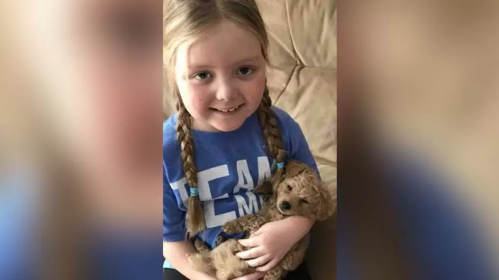 Little Girl With Inoperable Brain Tumor, Wants To Receive Letters… From Your Dog