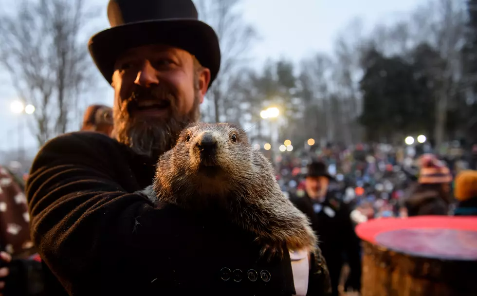 Is Groundhog Day Ruined?