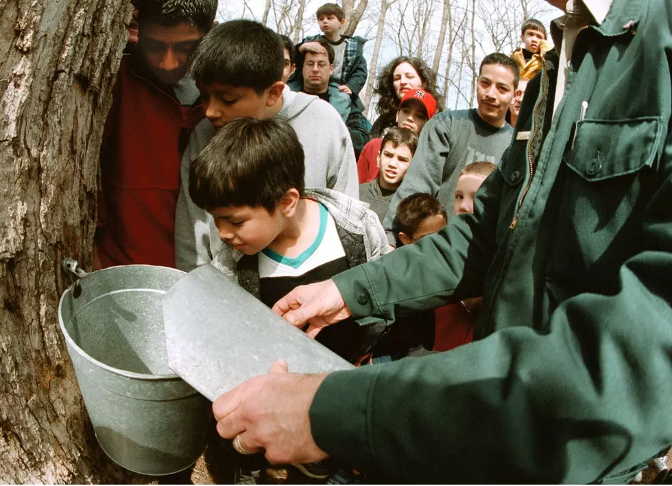 Maple Weekend Is Another Sure Sign of Spring