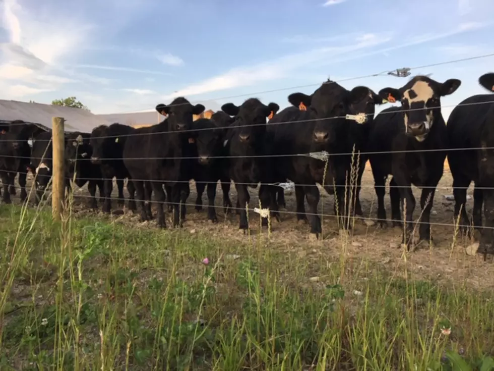 Agripalooza Coming to Wyoming Country on June 9th