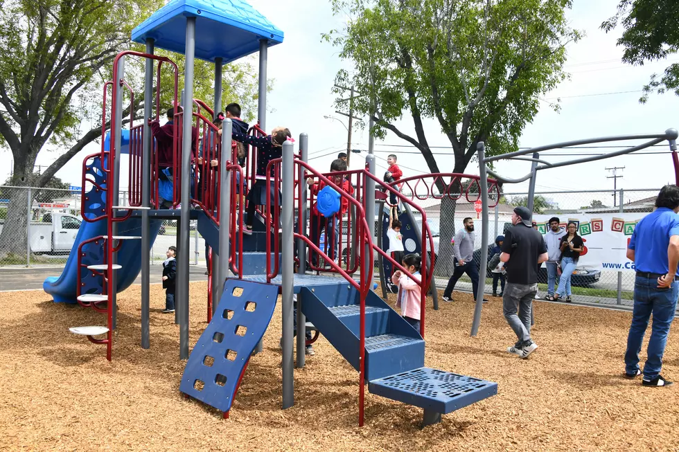 Car Demolishes Pavilion + Kid&#8217;s Playground in Cheektowaga Park