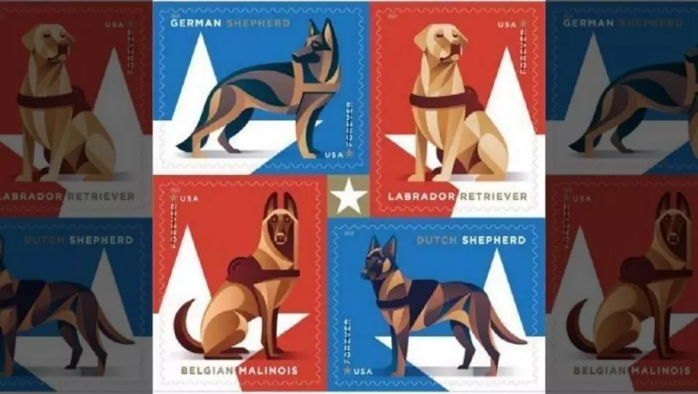 Post Office Releases New Military Dog Stamps Today