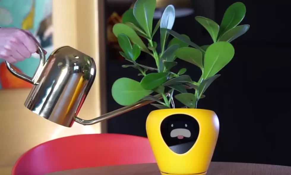 Never Kill A Plant Again With This Smart Planter