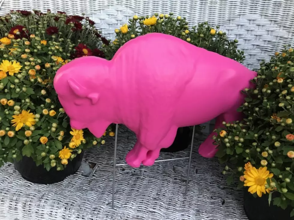 Get Pink Buffalo Weekend