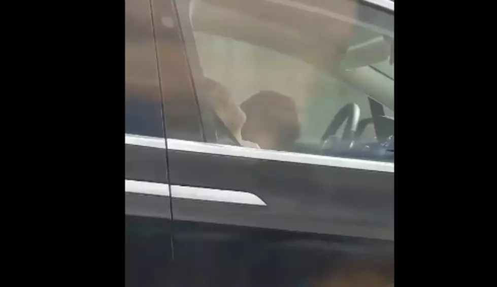 Crazy Video Show Driver Asleep At Wheel [VIDEO]