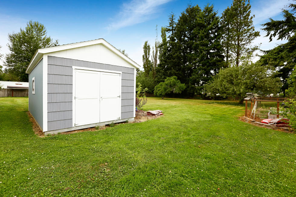 Backyard Shed Renovated To $1,000 a Month Apartment