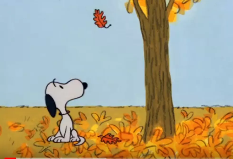 &#8216;It&#8217;s the Great Pumpkin, Charlie Brown&#8217; Will Air Twice This Month