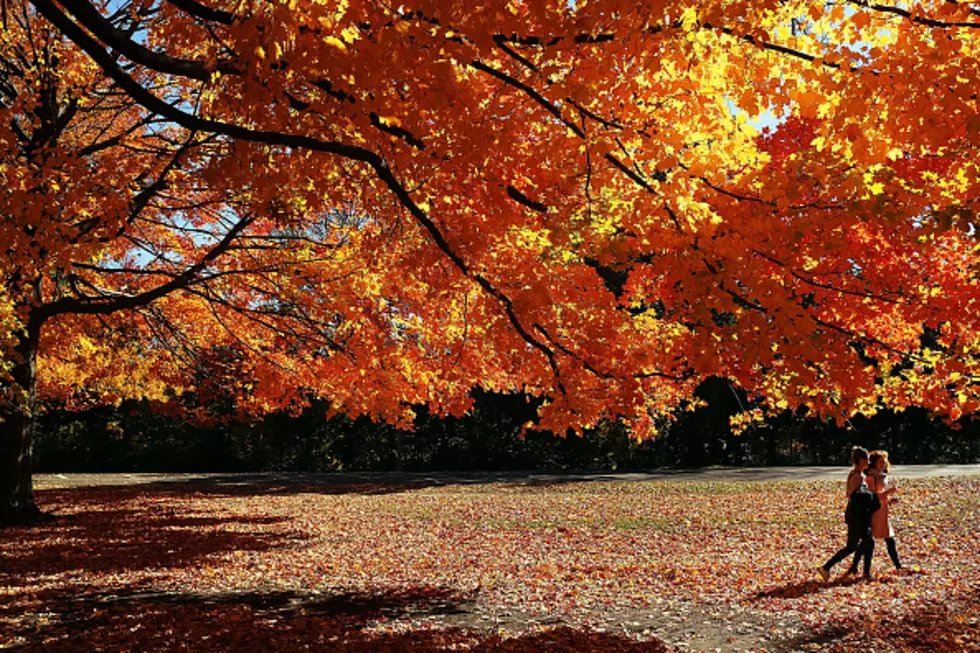 Fall Foliage Update In WNY