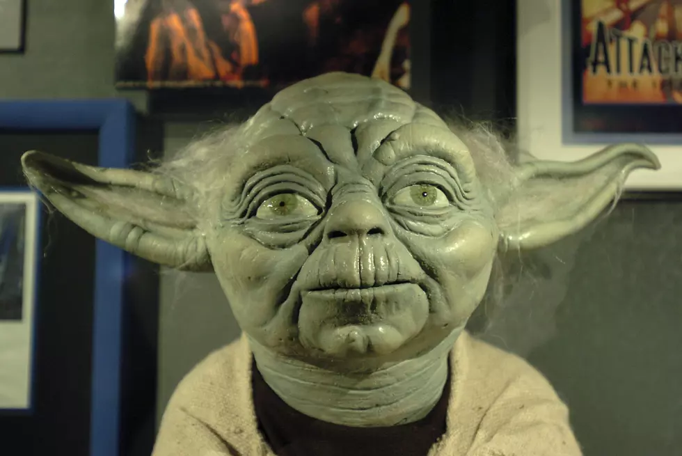 Order Your Baby Yoda Doll Now