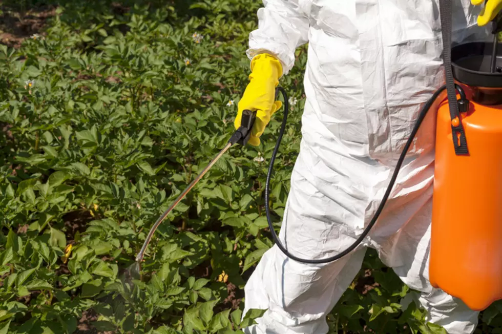 New Law Bans Pesticides And Will Impact NY Farmers