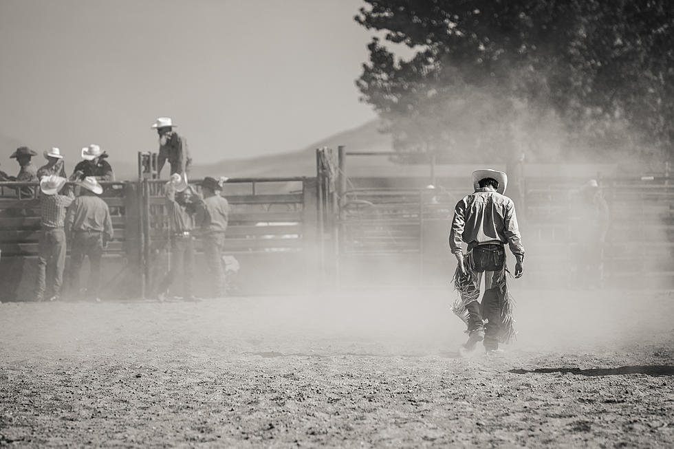 Could Rodeos Be Coming To An End In New York?
