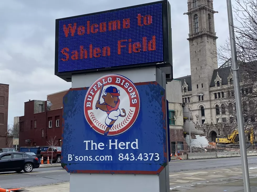 Bisons Baseball Is Back In Buffalo