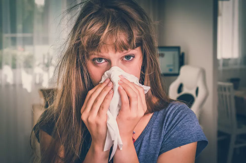 Seasonal Flu on the Rise