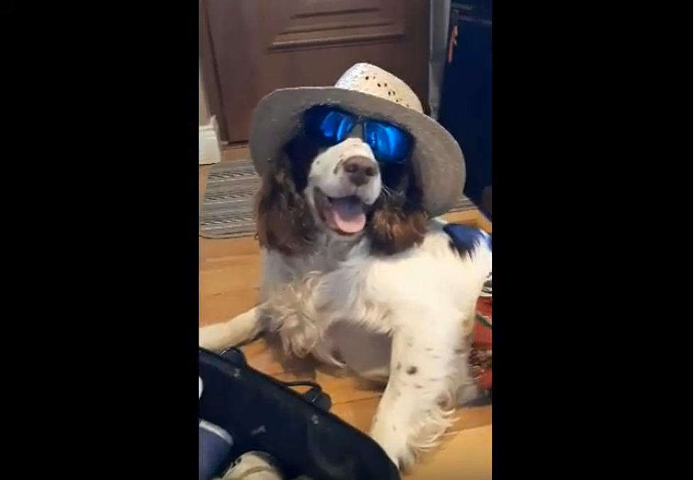Luke Combs Fan Recreates &#8220;When It Rains It Pours&#8221; Music Video With Their Puppy [WATCH]