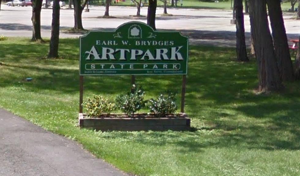ArtPark Is Adding Dates And Movies To It&#8217;s Drive In Series