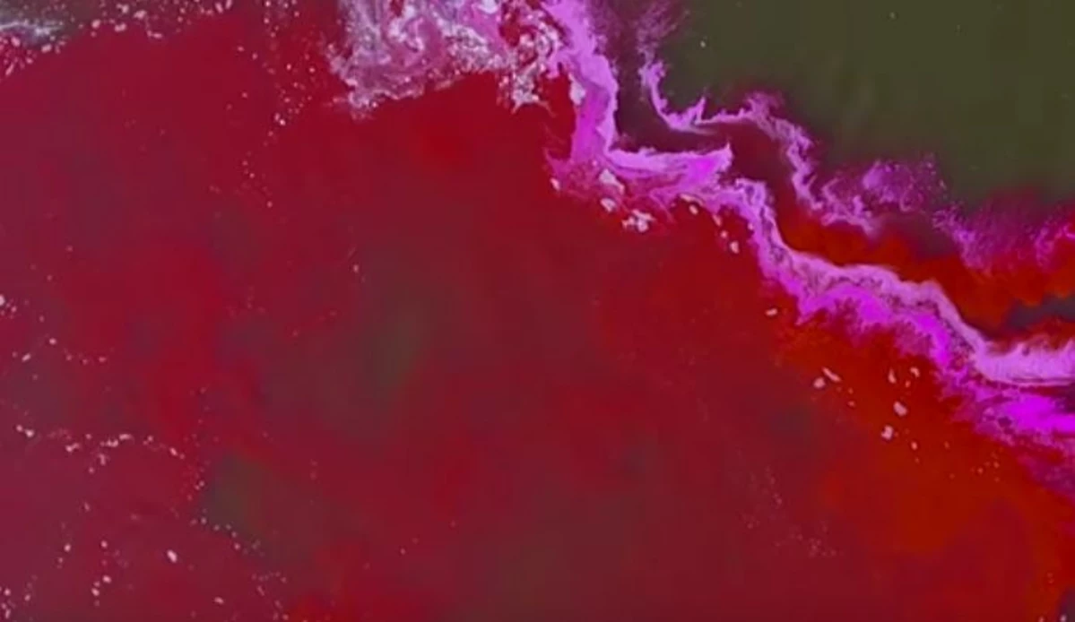 It's 2020 So Of Course Water Would Turn Blood Red [PHOTOS]