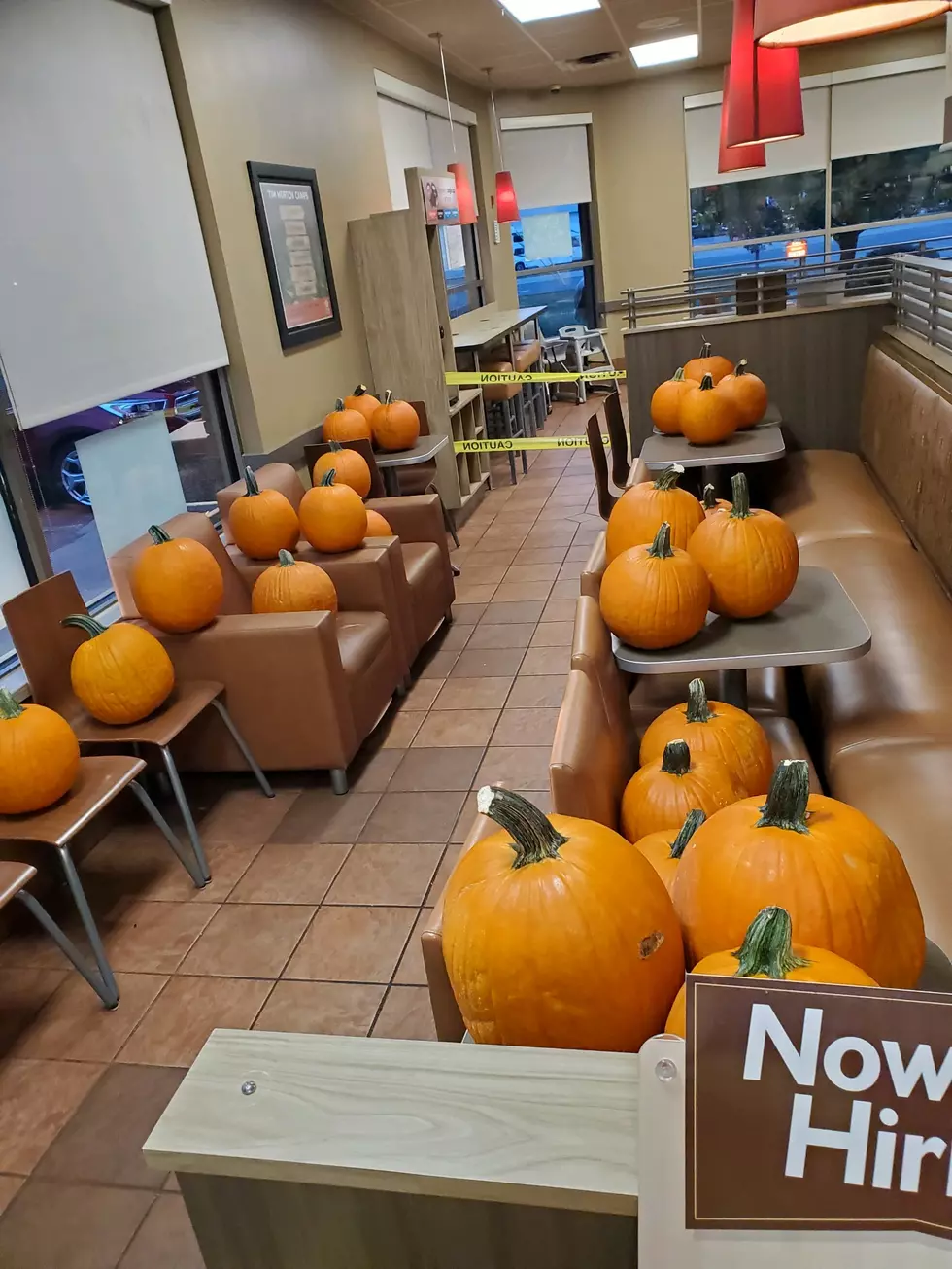 Get Free Pumpkins At Tim Hortons