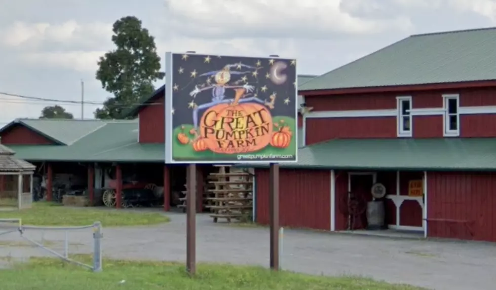 The Great Pumpkin Farm Has Announced Their Opening Date